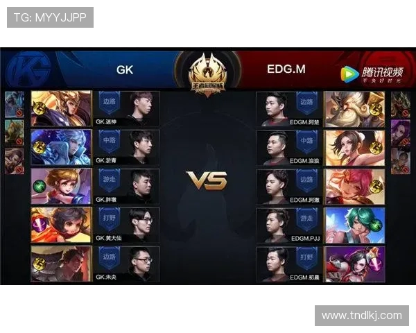 RNG在冠军杯中的团队协作表现分析与战术解读