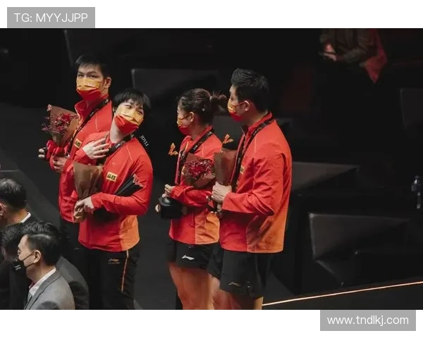 上海排球队中路突破解析助力球队再创辉煌的战术思考